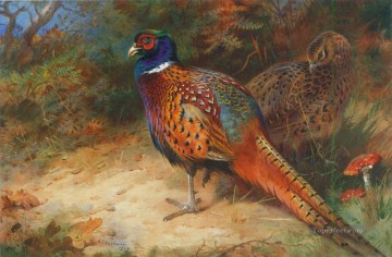 Animal Painting - gallo y gallina faisán en la maleza 1927 aves
